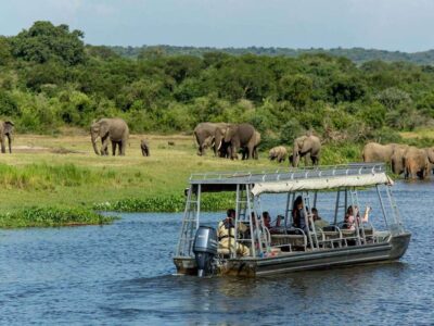 13 Days Primate & Wildlife Uganda Safari