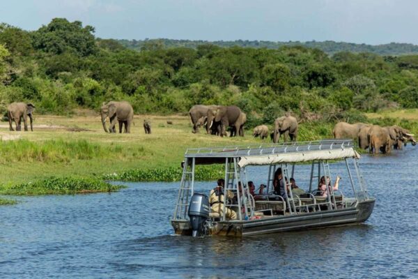 13 Days Primate & Wildlife Uganda Safari 13 Days Primate & Wildlife Uganda Safari
