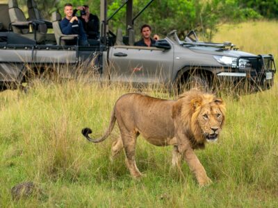 Akagera National Park