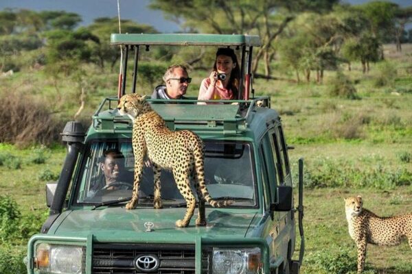 Kenya Safaris JimJam