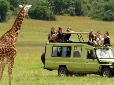 How Much Does A Tanzania Safari Cost