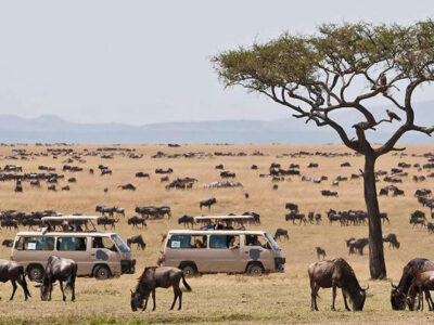 9 days Kenya Safari