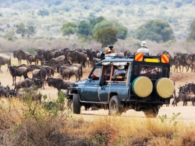 9 days Kenya Safari