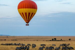 Botswana Flying Safaris