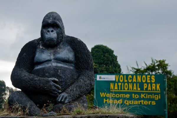 Best Time to Visit Rwanda Best Time to Visit Rwanda