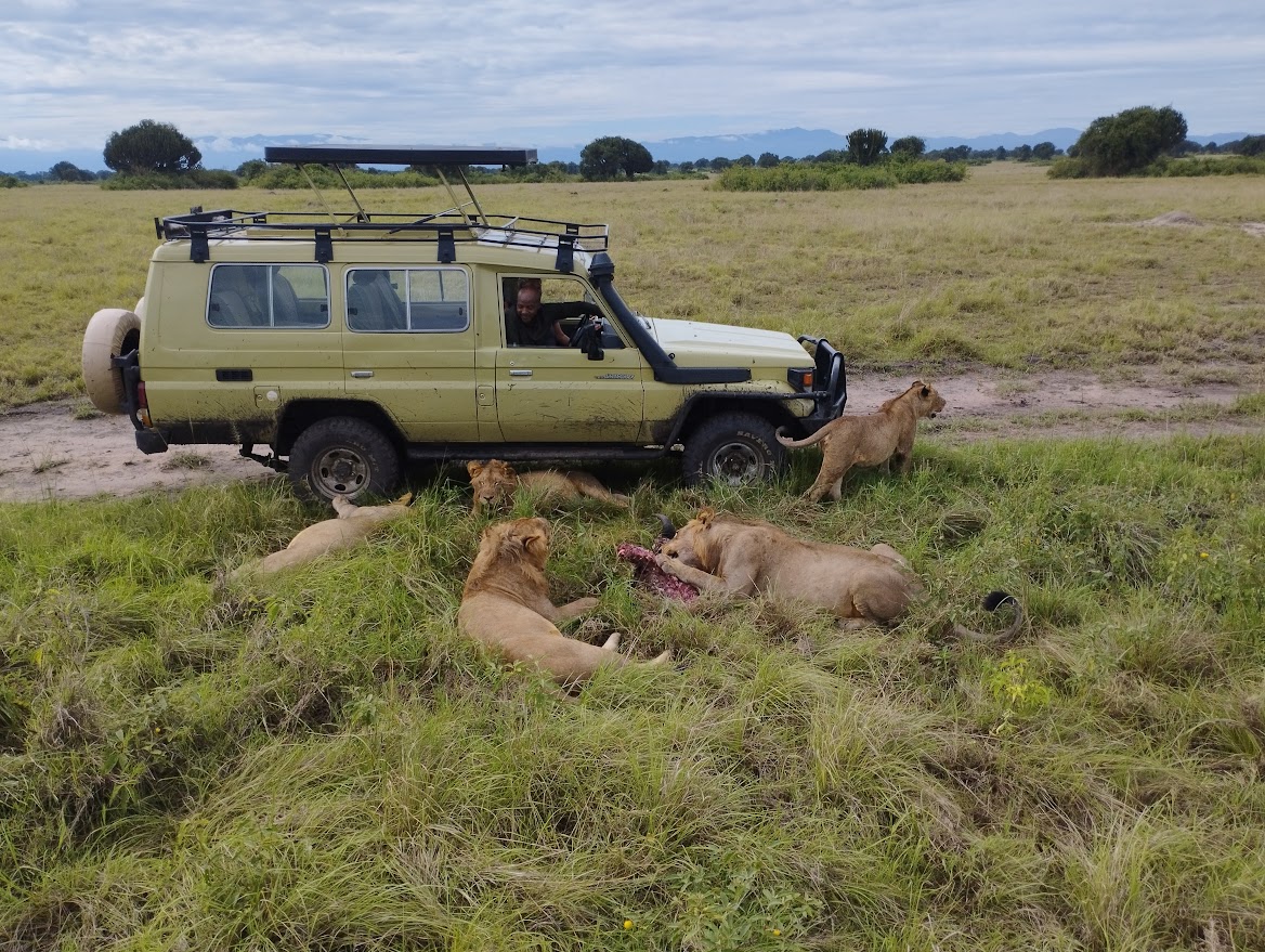 How Much Does A Uganda Safari Cost? 2024 Best Tour Guide