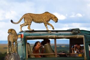 How much does a Kenya safari cost