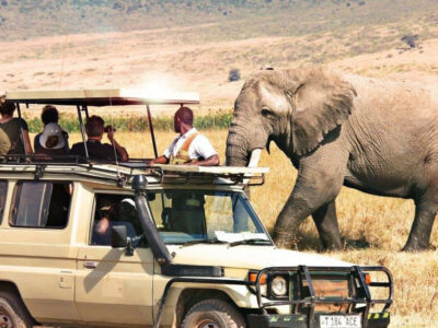 How much does a Tanzania safari cost