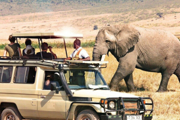 How much does a Tanzania safari cost How much does a Tanzania safari cost