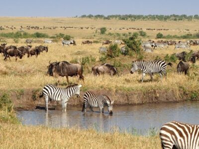 Maasai Mara National Reserve