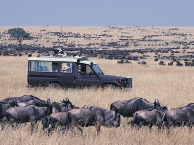 Masai Mara JimJam Safaris