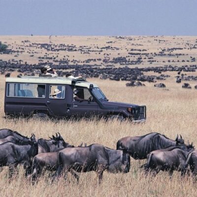 Masai Mara JimJam Safaris