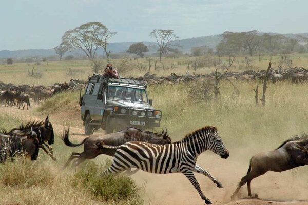 Cheap Tanzania Tours