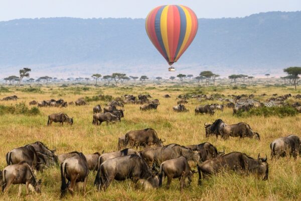 Kenya Tours
