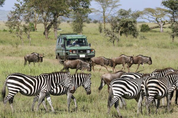 Tanzania Tours Tanzania Tours
