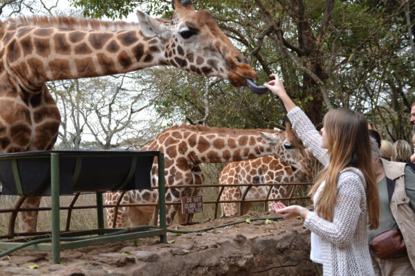 Giraffe Centre Nairobi