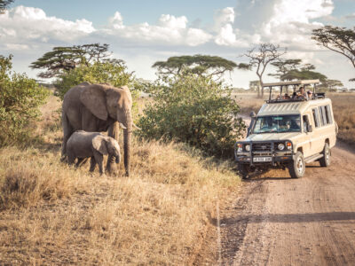 Serengeti National Park