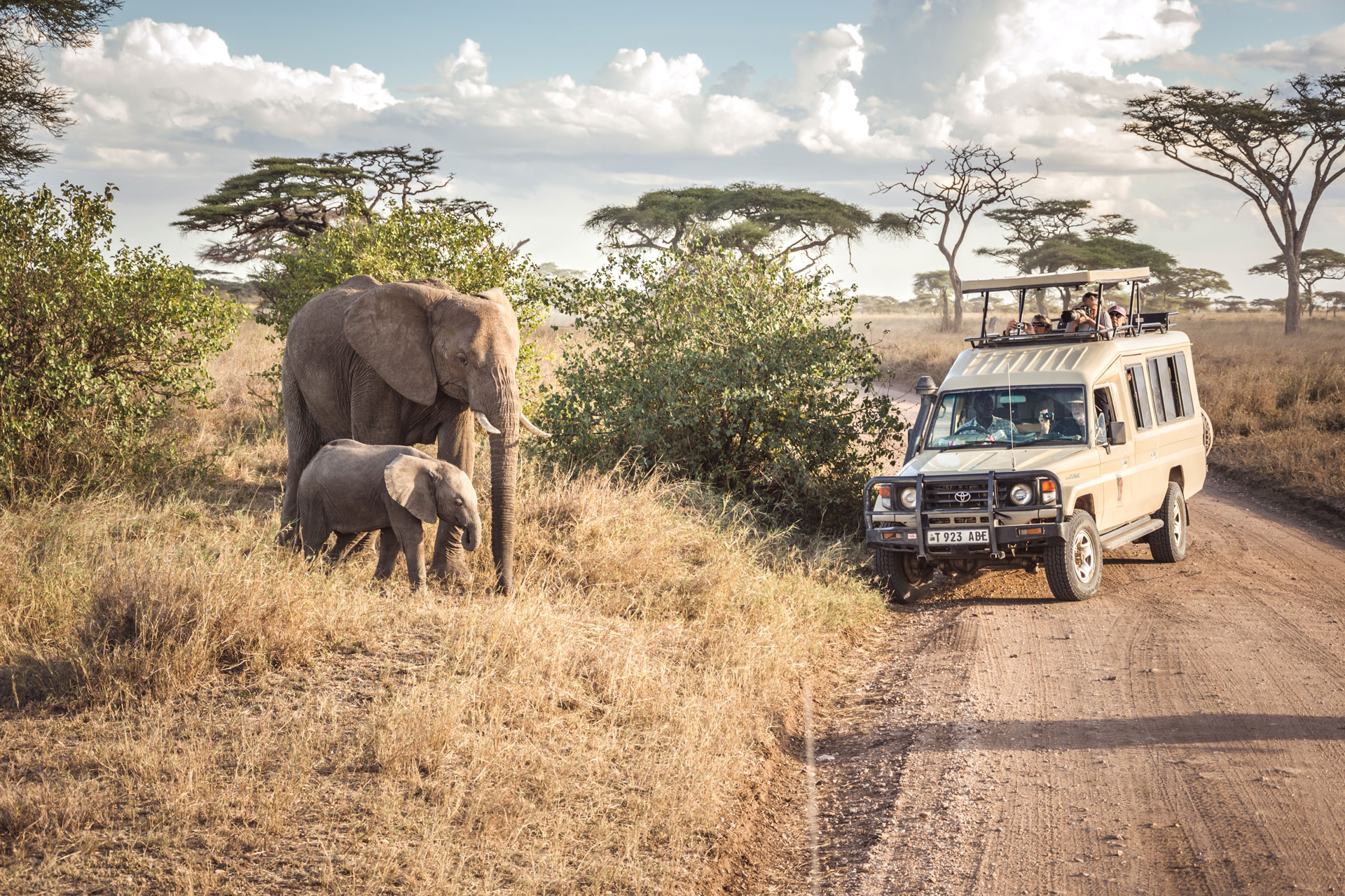 Serengeti National Park Facts, And Best Luxury Tour Packages