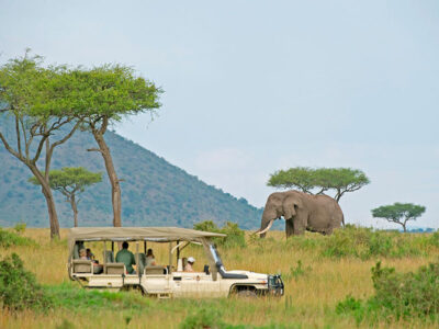 Short Kenya Safaris