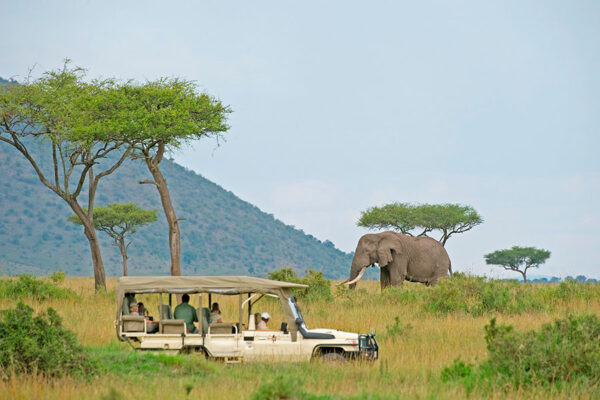 Short Kenya Safaris