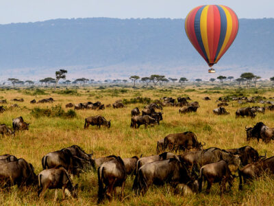 Short Tanzania Safaris