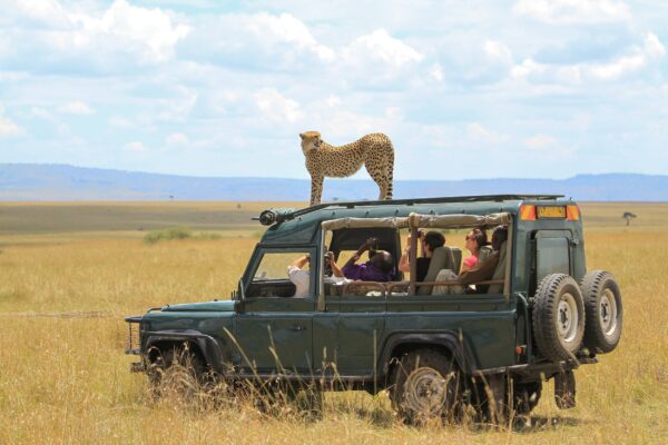 Travel Agency In Africa Travel Agency In Africa