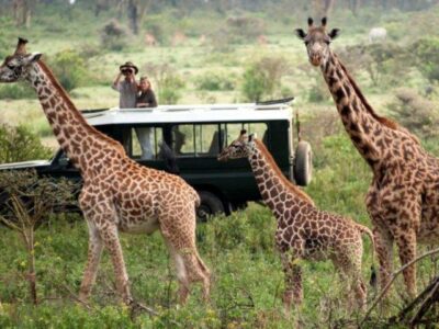 5 Days Kenya Safari 1