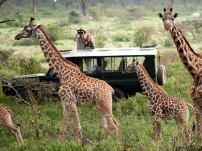 8 Days Kenya Safari