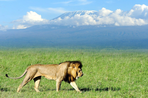 Amboseli
