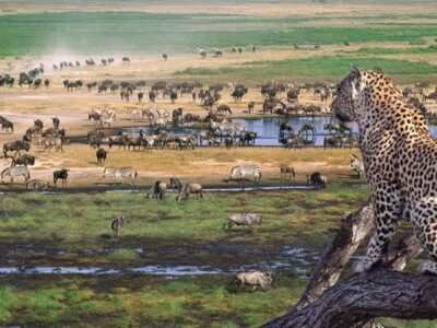 Ngorongoro crater