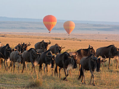 balloon safaris
