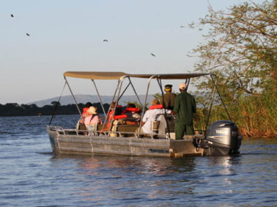 boat safaris