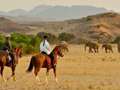 horse riding safaris