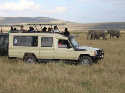 Budget Kenya Safaris