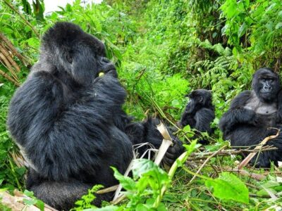 Burundi Rwanda Uganda