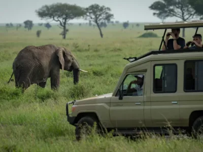Long Tanzania Safaris