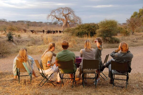 Tanzania Tours