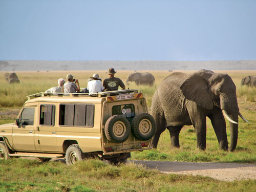 queen elizabeth national park tours
