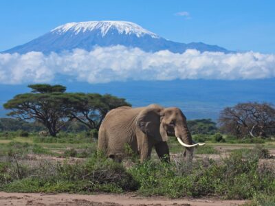 Mount Kilimanjaro