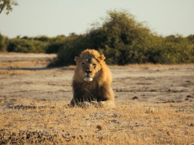 Botswana