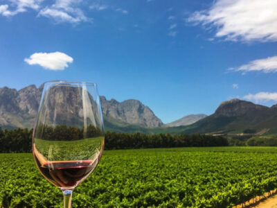 Cape Winelands