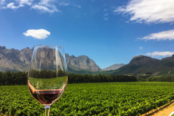 Cape Winelands