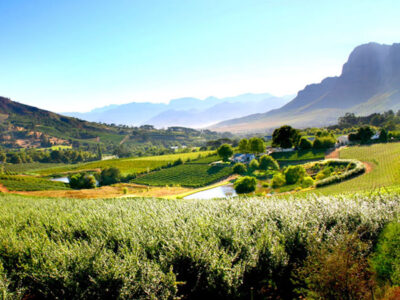 Cape Winelands South Africa