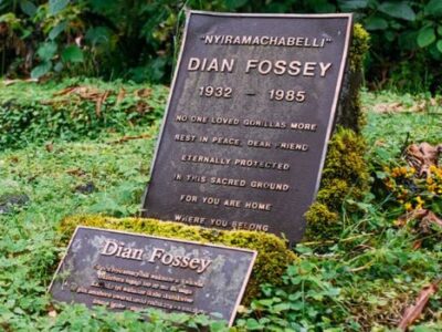 Dian Fossey Tomb Hike