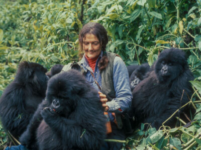 Dian Fossey Tomb Hike