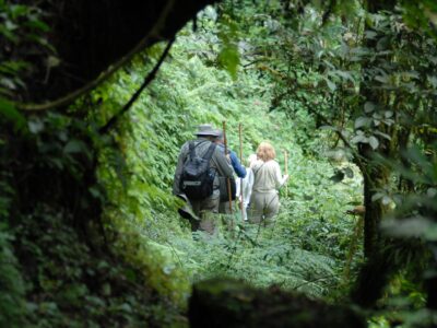 Dian Fossey Tomb Hike