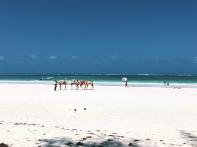 Diani Beach