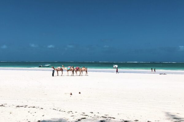 Diani Beach