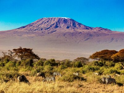 Kilimanjaro