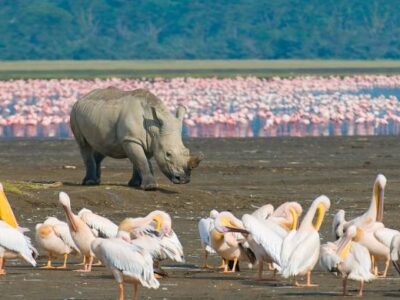 Lake Nakuru National Park